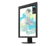 EIZO ColorEdge CS2400R ColorNavigator - 1166519 - zdjęcie 2